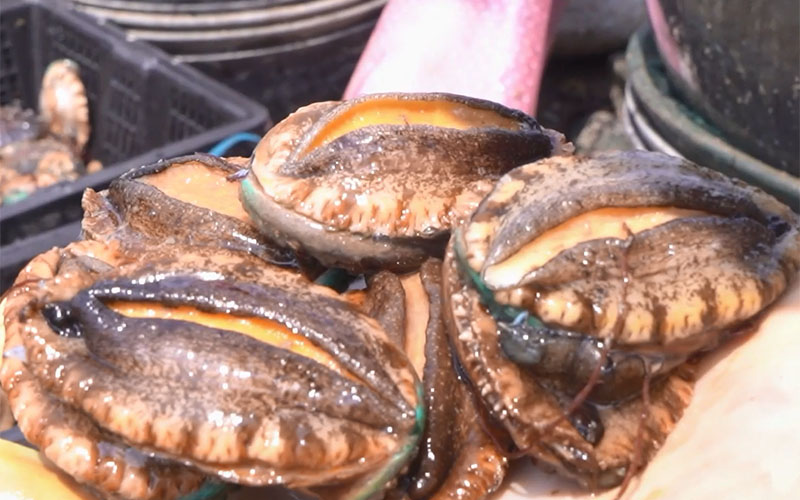 Garlic Butter Abalone