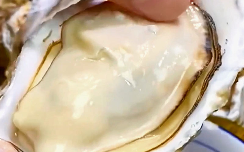 Indulge in Luxury Oysters