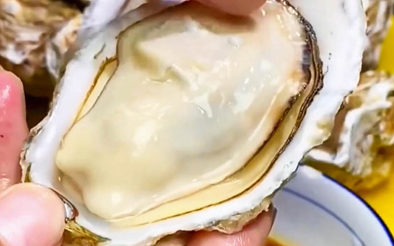Plump Oyster