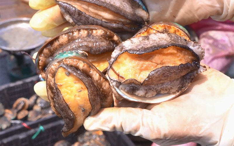 Savor the Essence of the Sea Grilled Abalone